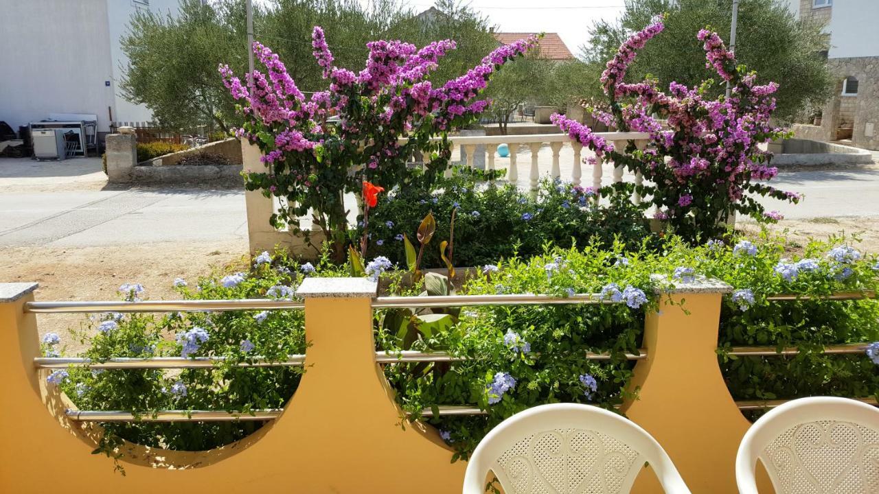 Apartmán Marina Biograd Na Moru Exteriér fotografie